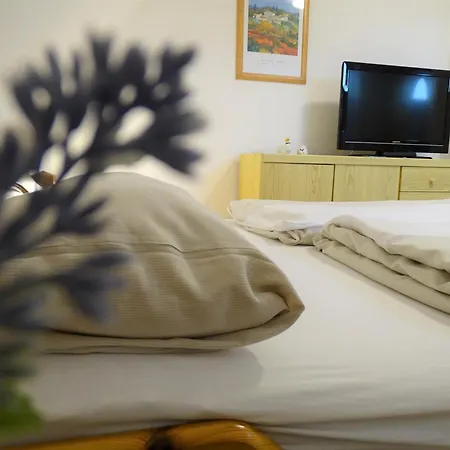 Appartamento Haus Rosi Whg 2 *